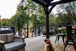 Out in the Wild - Near Bass Lake & Dog-Friendly - Image 2