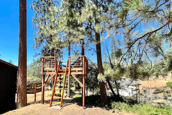 Sugar Pine Log Cabin - Image 3